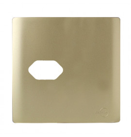 Placa p/ 1 Tomada Horizontal 4x4 - Novara Dourado